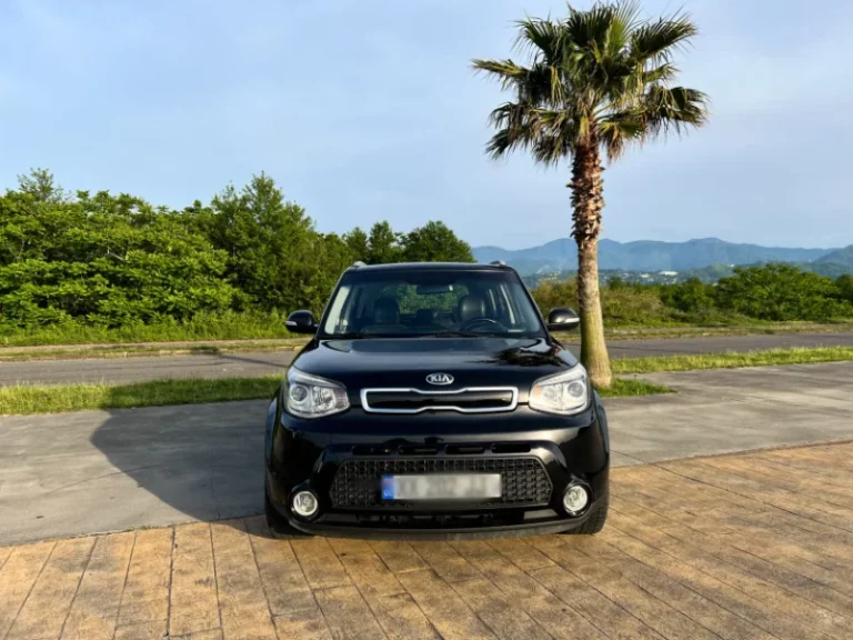 Kia Soul (Кутаиси, ед. 1)